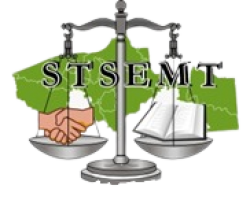 STSEMT-1
